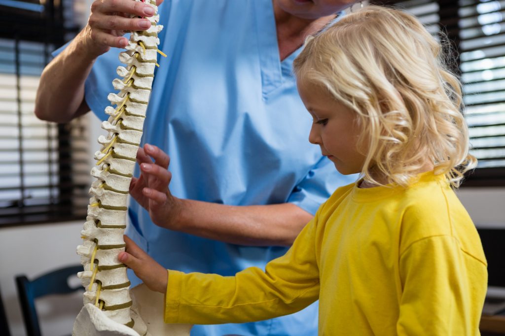 Physiotherapist explaining the spine to girl patient